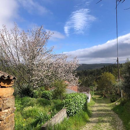 House Of The Three Marias Bed & Breakfast Pedrogao Grande Bagian luar foto