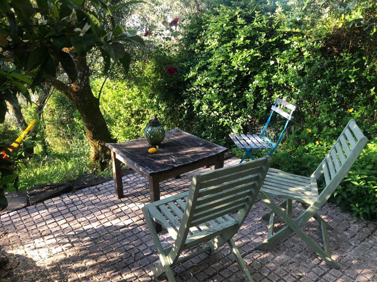 House Of The Three Marias Bed & Breakfast Pedrogao Grande Bagian luar foto