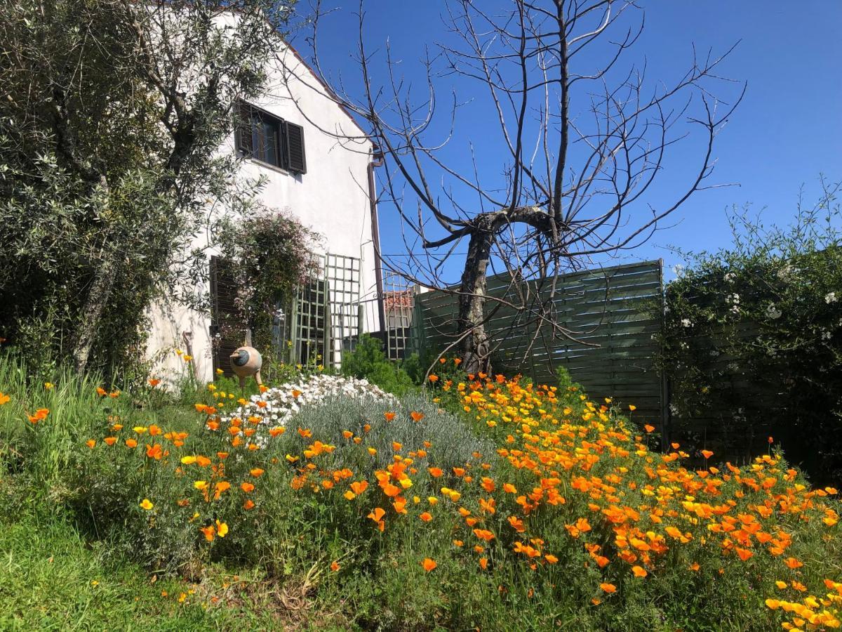 House Of The Three Marias Bed & Breakfast Pedrogao Grande Bagian luar foto