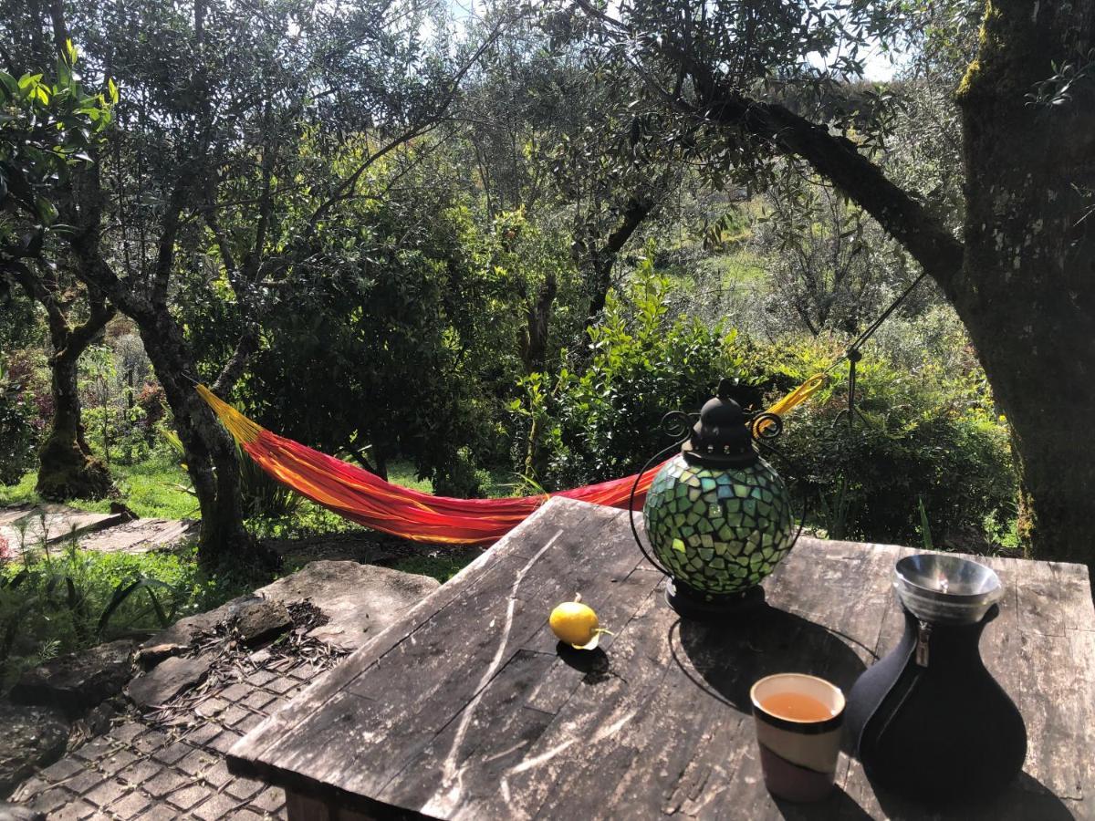 House Of The Three Marias Bed & Breakfast Pedrogao Grande Bagian luar foto