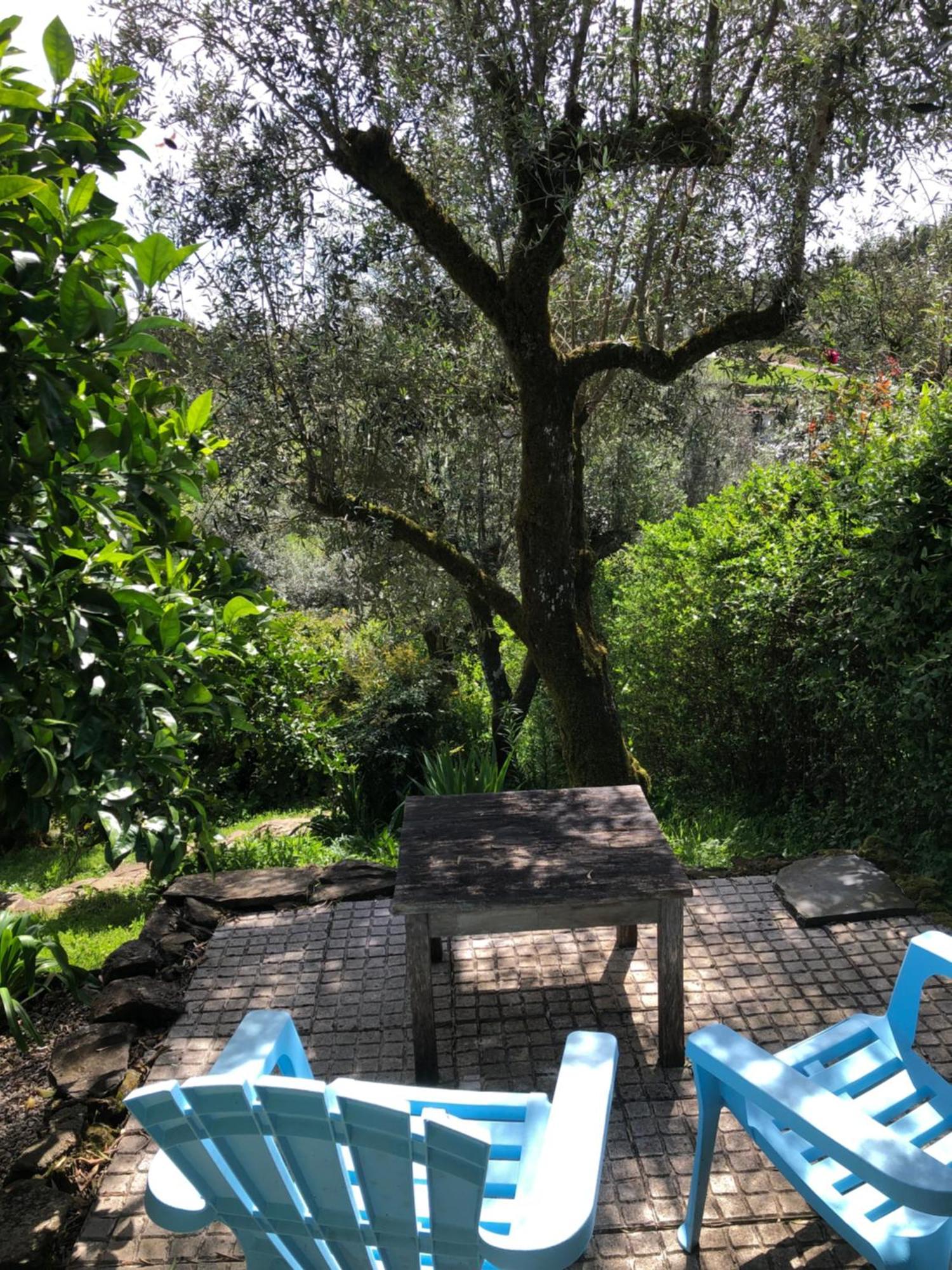 House Of The Three Marias Bed & Breakfast Pedrogao Grande Bagian luar foto