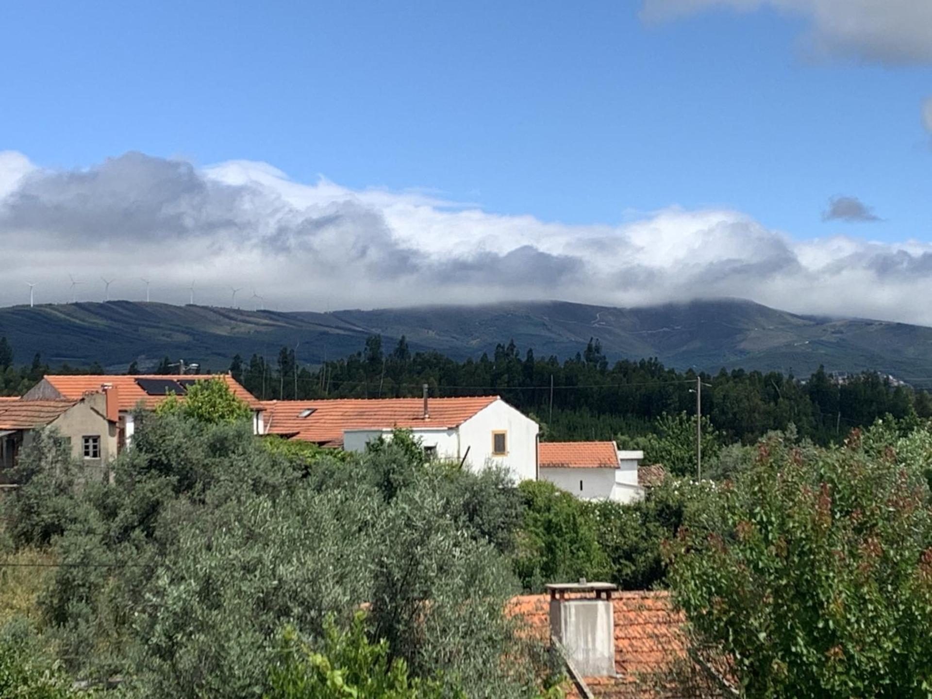 House Of The Three Marias Bed & Breakfast Pedrogao Grande Bagian luar foto
