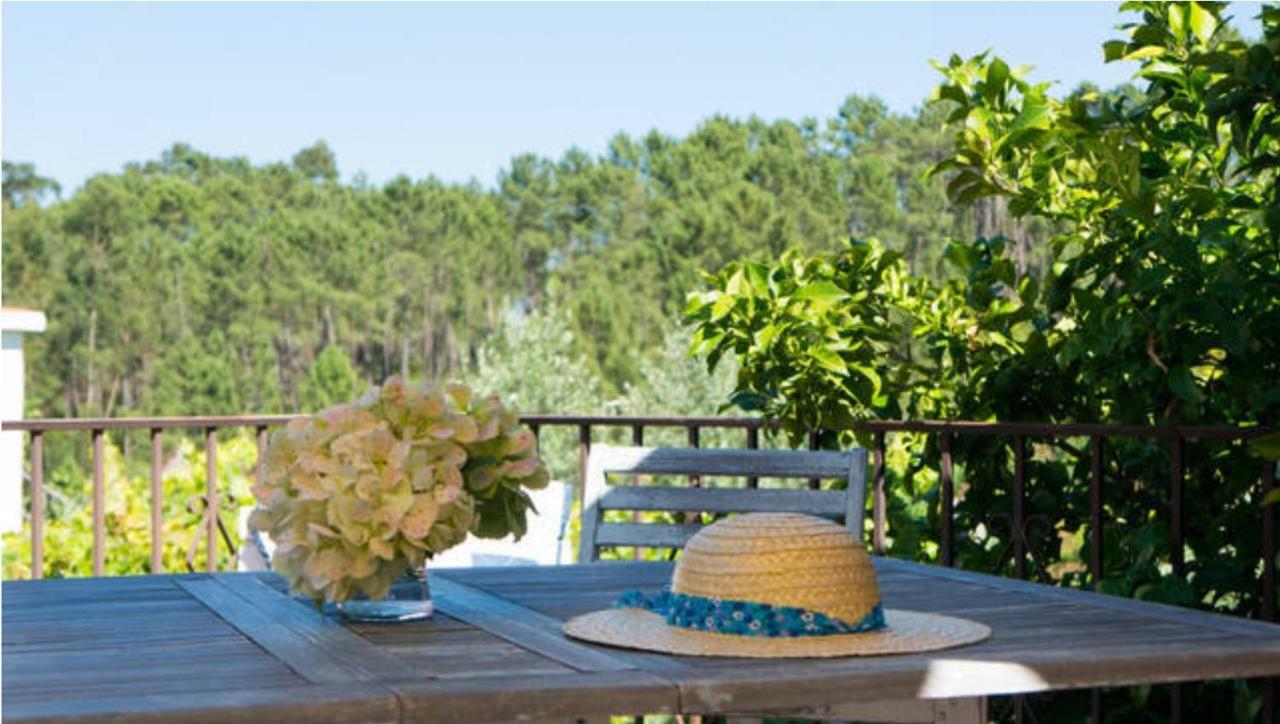 House Of The Three Marias Bed & Breakfast Pedrogao Grande Bagian luar foto